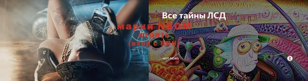 каннабис Алексин