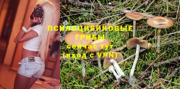 герыч Алзамай