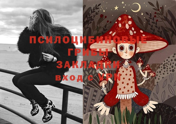герыч Алзамай