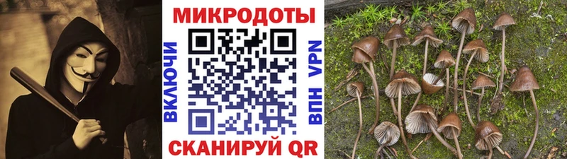 это как зайти  сколько стоит  Обоянь  Галлюциногенные грибы мухоморы 